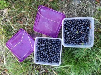 High angle view of food in box