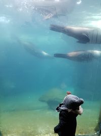 Rear view of man swimming in sea