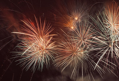 Low angle view of firework display at night