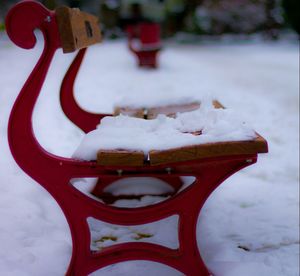 Close-up of snow covered tree