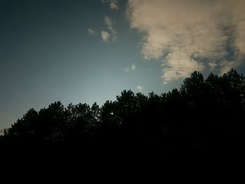 Low angle view of silhouette trees against sky