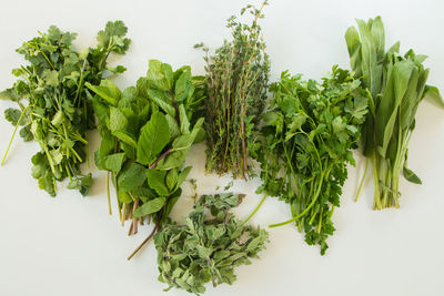 Mixed herbs. thyme, rosemary, mint, sage, oregano, parsley isolated on white background