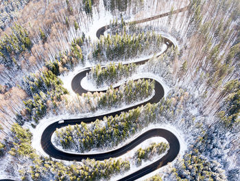 High angle view of car on road amidst trees