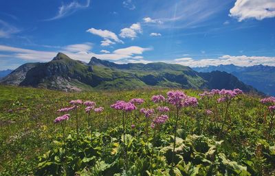 High angle view of townscape against sky