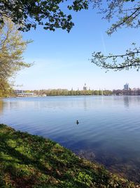 View of birds in lake