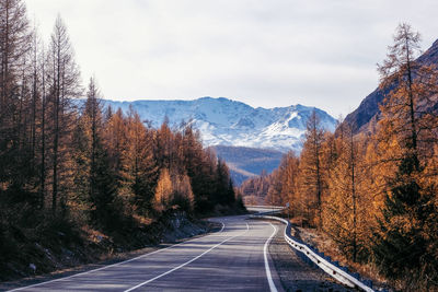 Road amidst trees against sky