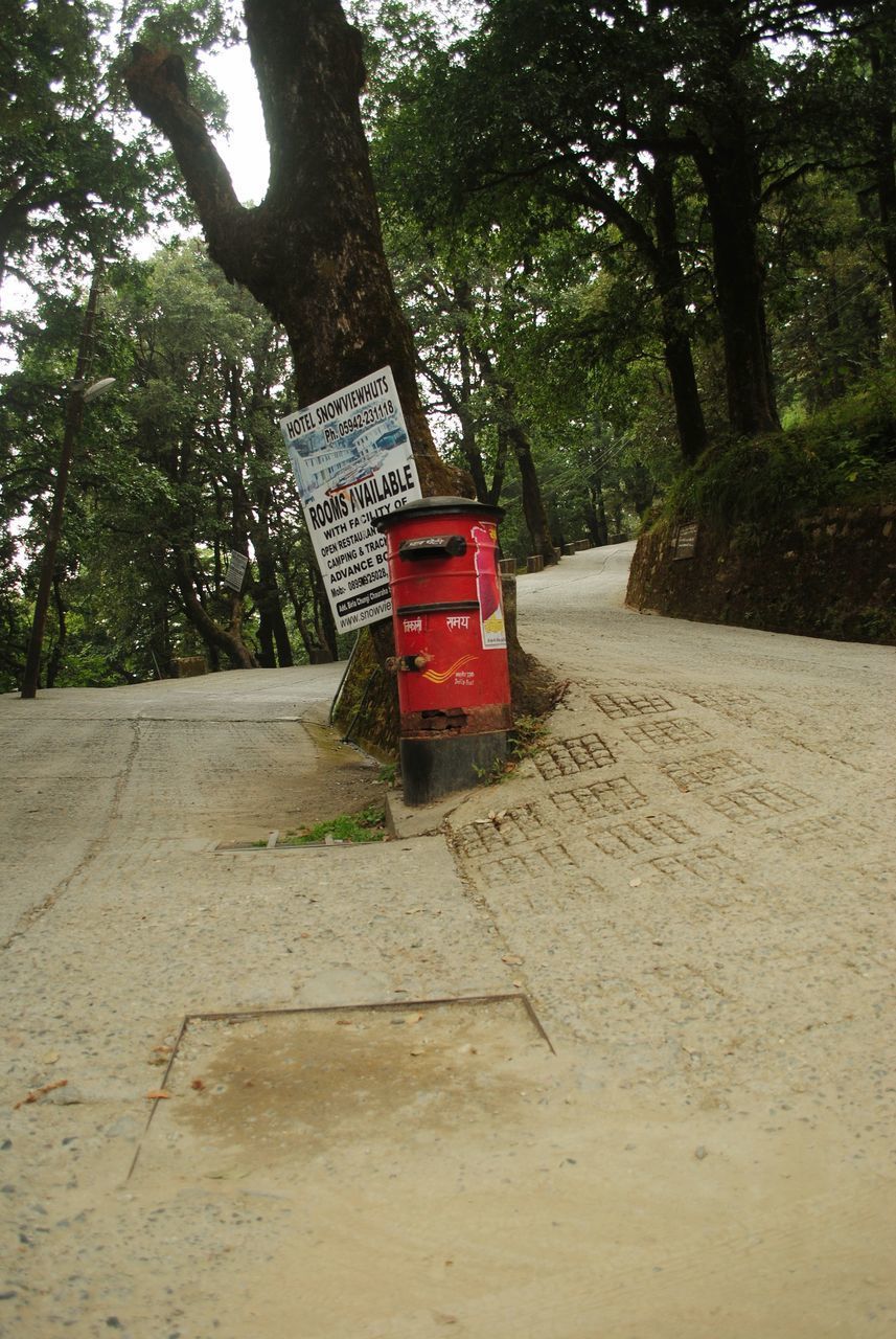 RED ROAD SIGN BY TREE TRUNK BY THE TREES