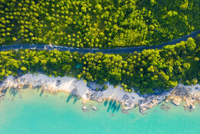 Aerial view of tropical rainforest coastline road in thailand