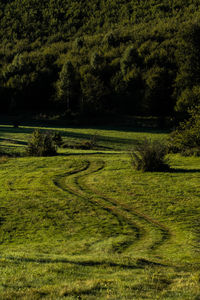 Scenic view of landscape