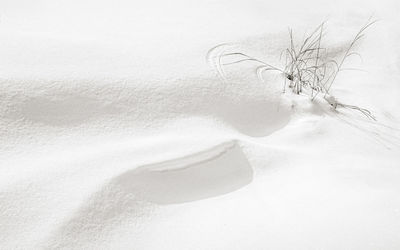 View of snow covered land