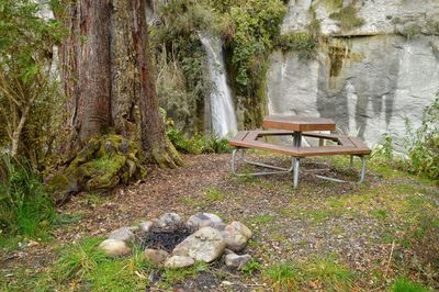 Scenic view of waterfall in forest