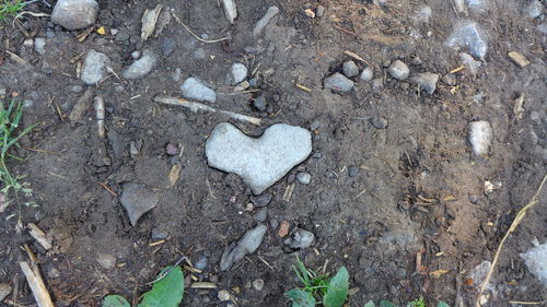 High angle view of heart shape