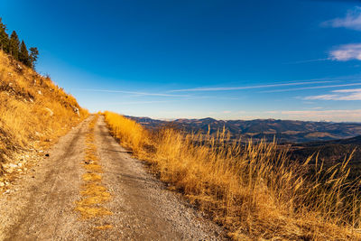 Scenic view of landscape against blue sky