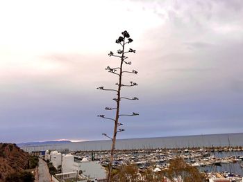 Scenic view of sea by buildings against sky