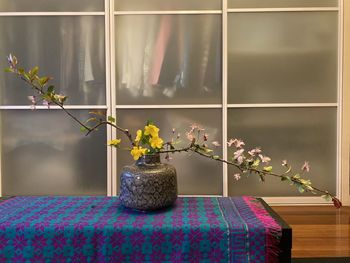 Close-up of potted plant on table at home