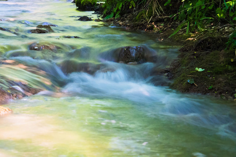 VIEW OF STREAM IN FOREST