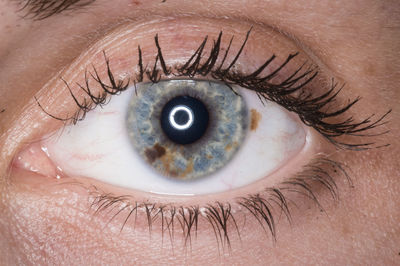 Close-up of human eye