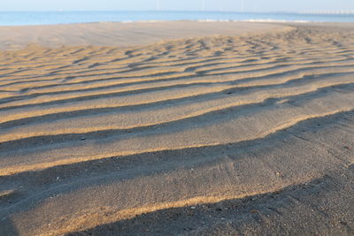 Surface level of sandy beach