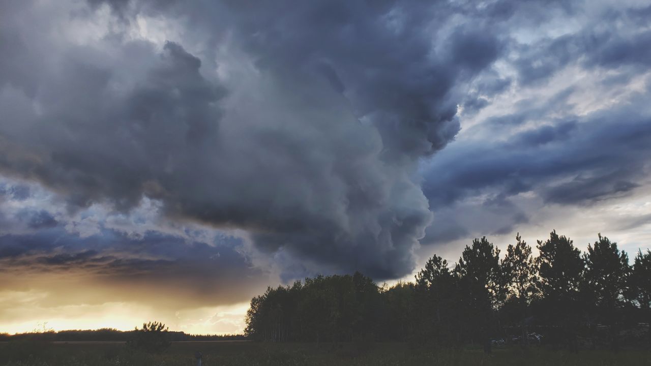 SCENIC VIEW OF DRAMATIC SKY OVER SILHOUETTE TREES