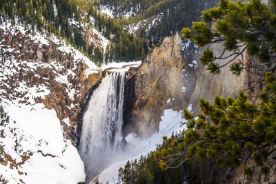 Scenic view of waterfall in forest