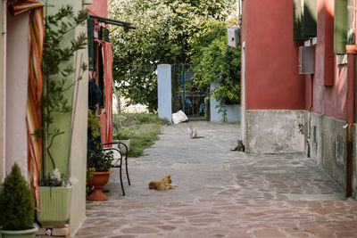 Rear view of woman walking on street