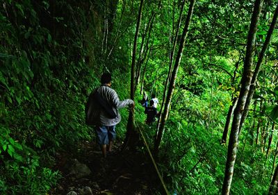 Rear view of man in forest