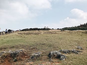 View of sheep on field against sky