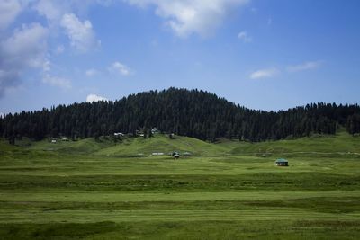 Scenic view of grassy field against sky