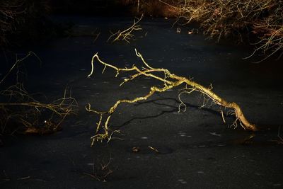 Light painting against sky at night