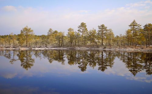 Reflection of trees in lake against sky