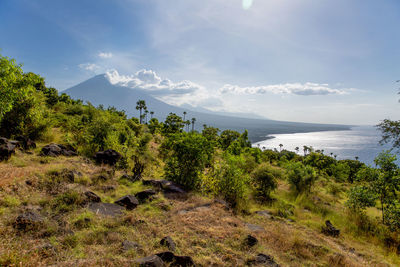 Scenic view of sea and trees against sky