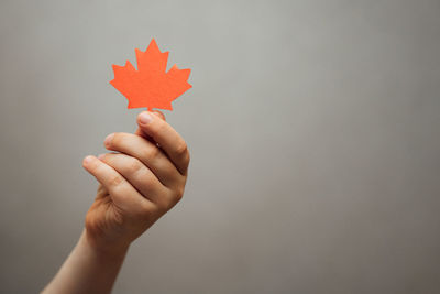 Close-up of hand holding maple leaf