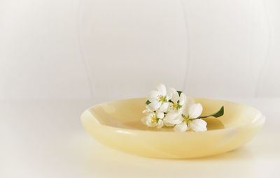 Close-up of white flower in bowl on table
