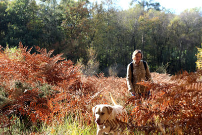 Woman with labrador retriever on field amidst plants