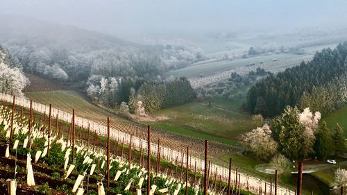 Scenic view of landscape against sky during foggy weather