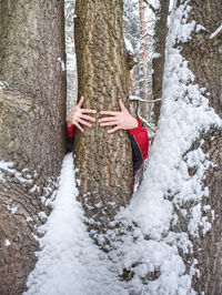 Woman walking on tree trunk during winter