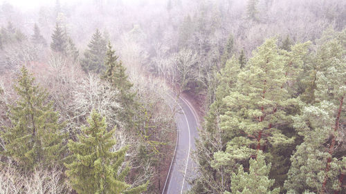 High angle view of winding road in forest