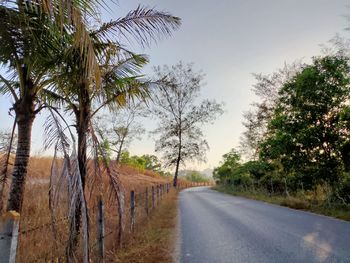 Road amidst trees against sky