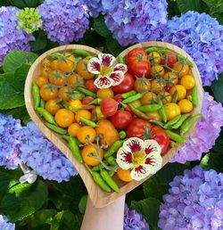 High angle view of hand holding flowering plant