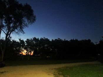 Silhouette trees on field against clear sky at night