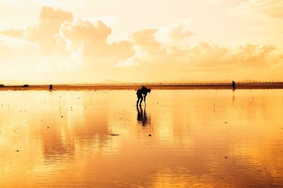 Silhouette man on beach against sky during sunset