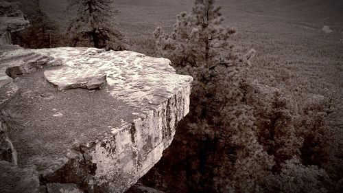 View of stone wall