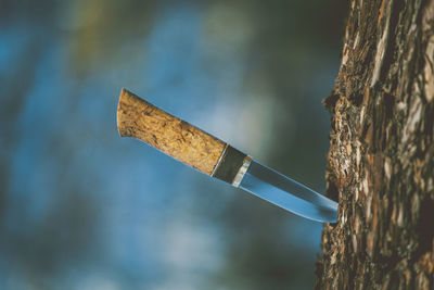 Close-up of cigarette on wood against trees