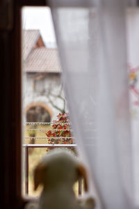 Close-up of window