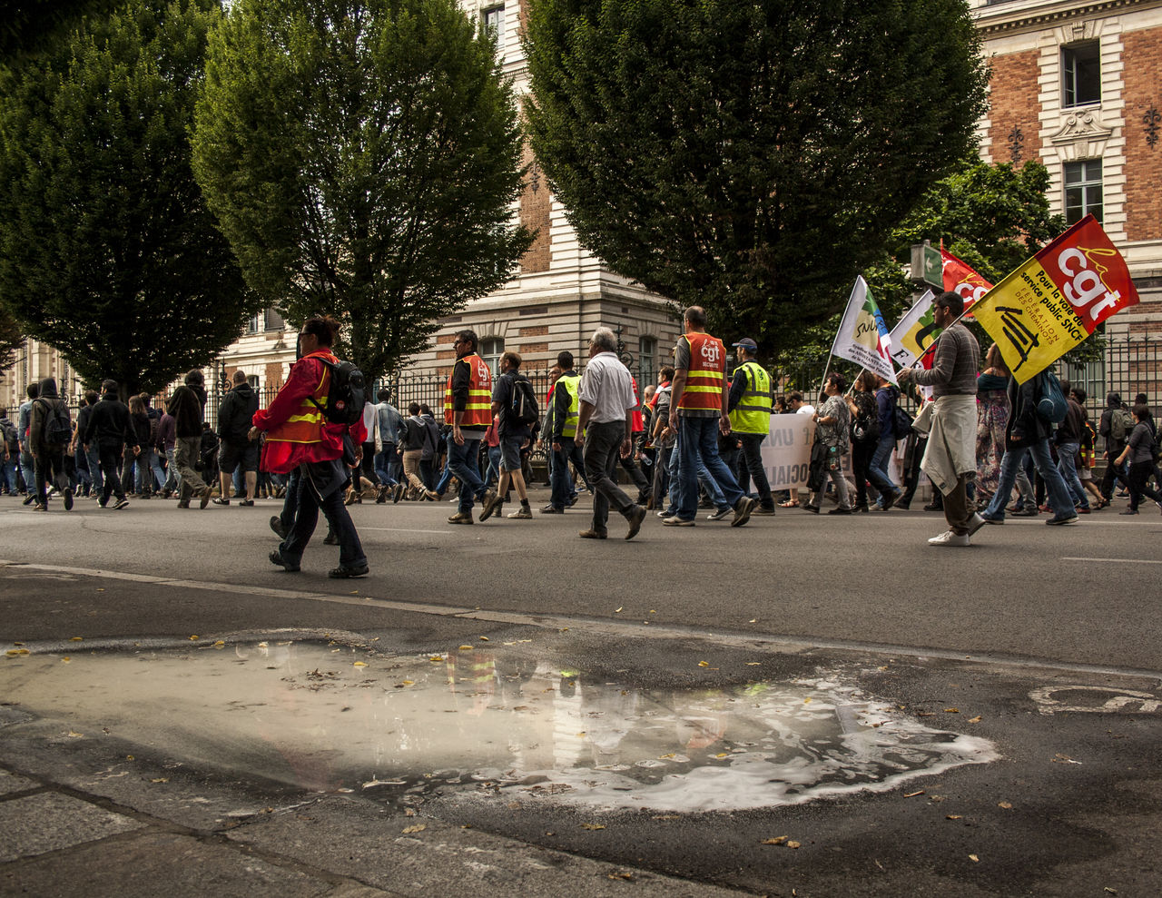 group of people, crowd, large group of people, tree, city, architecture, street, plant, men, transportation, built structure, road, building exterior, day, lifestyles, person, celebration, festival, bicycle, government, outdoors, nature, flag, event, parade, sports, adult, women, patriotism