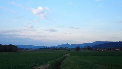 Scenic view of field against sky during sunset