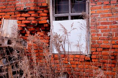 Broken window of abandoned building