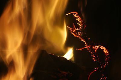 Close-up of bonfire at night