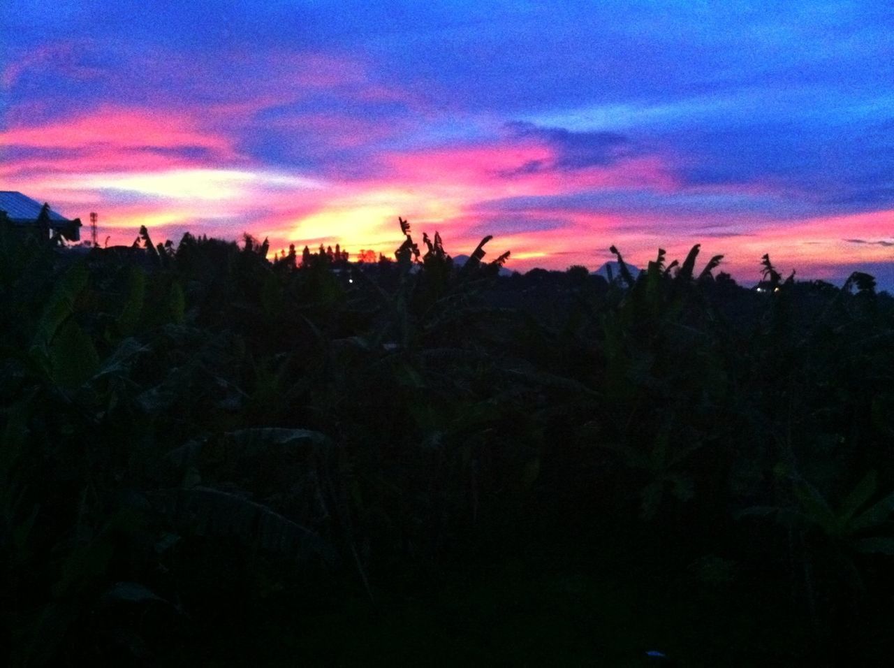 sunset, sky, silhouette, beauty in nature, scenics, tranquil scene, tranquility, orange color, cloud - sky, nature, dramatic sky, plant, growth, landscape, idyllic, cloud, field, dusk, cloudy, atmospheric mood