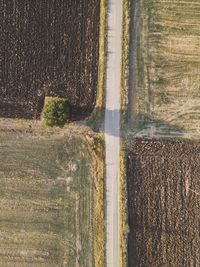 Scenic view of agricultural field